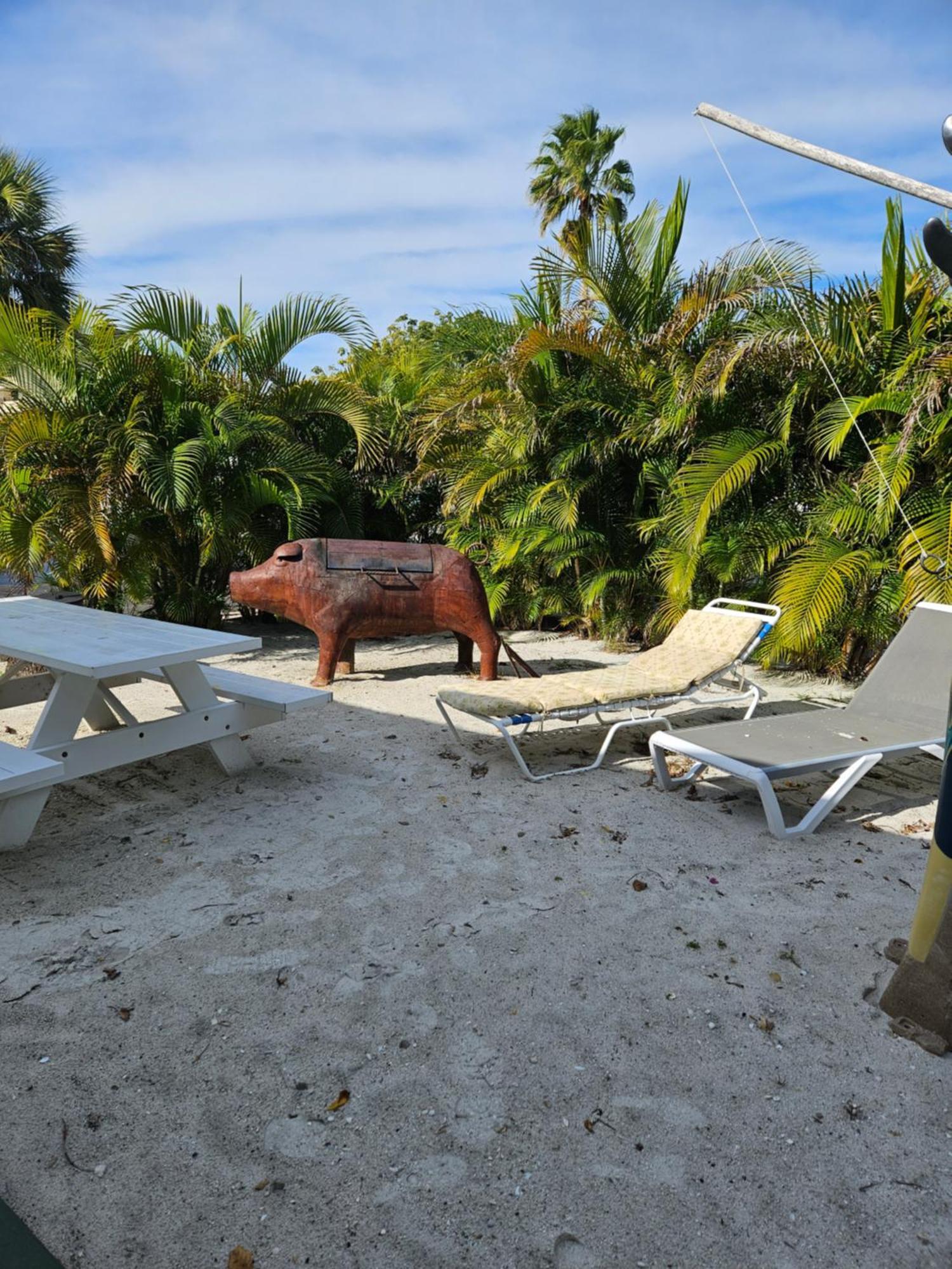 Oasis Palms Resort Сейнт Пийт Бийч Екстериор снимка